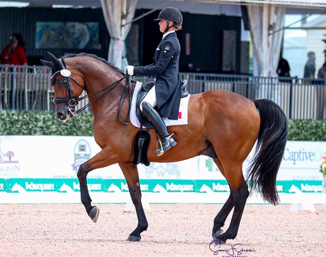 Camille Carier Bergeron and Acoeur competing at the Global Dressage Festival in Wellington :: Photo © Sue Stickle