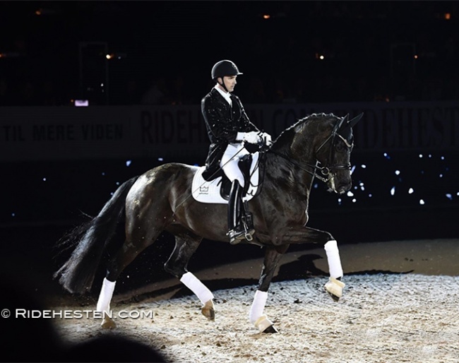 Andreas Helgstrand and Queenparks Wendy at the gala show of the 2022 Danish Warmblood Stallion Licensing :: Photo © Ridehesten