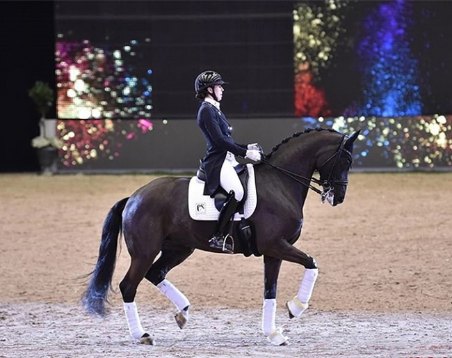 Carina Cassoe Kruth and Heiline's Danciera at the 2022 Danish Warmblood stallion licensing gala show :: Photo © Ridehesten