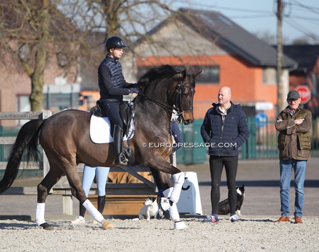Nico Nyssen on Grand Prix horse Bon Romantic with Piet Lenskens and Jochen Arl watching him ride :: Photo © Astrid Appels
