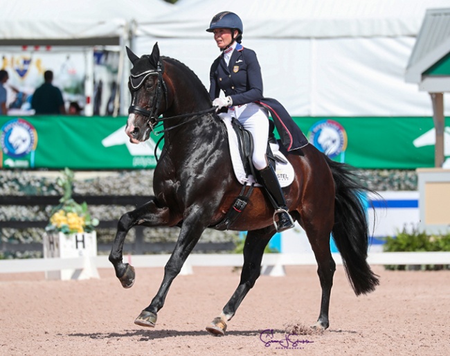 Charlotte Jorst and Nintendo competing in the 3* GP Special at the 2022 CDIO Wellington :: Photo © Sue Stickle