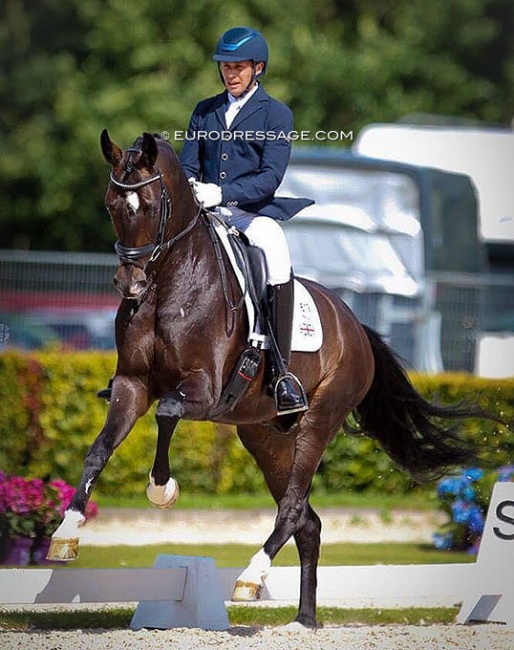 Tom Goode and Saint Julian at the 2017 World Young Horse Championships in Ermelo :: Photo © Astrid Appels