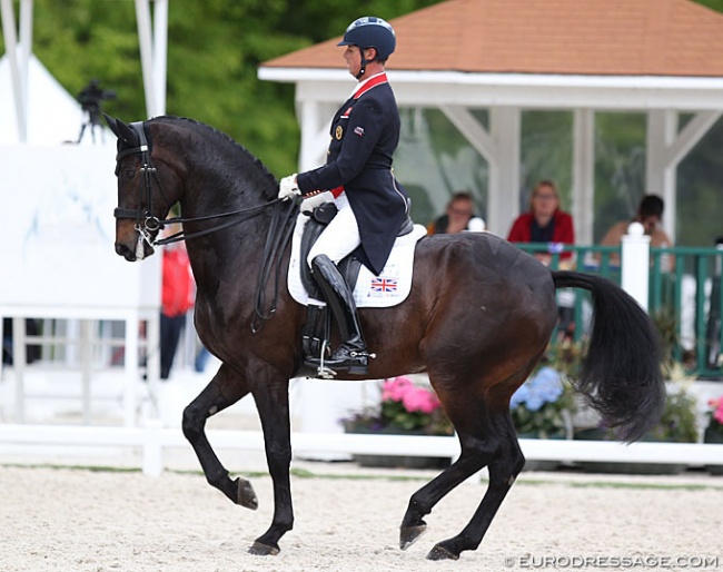 Carl Hester and Hawtins Delicato at the 2019 CDIO Compiegne, the only CDI Carl rode in almost five years time on the European continent :: Photo © Astrid Appels