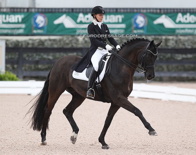 Susan Pape and Don Noblesse at the 2019 CDI Wellington :: Photo © Astrid Appels
