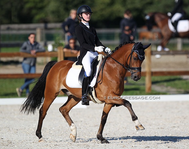 Wise Guy at the 2020 CDI Grote Brogel :: Photo © Astrid Appels