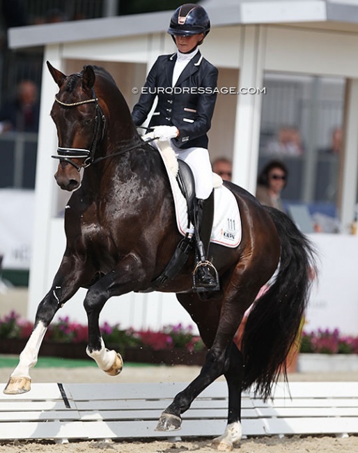 Marieke van der Putten and Keano at the 2021 World Young Horse Championships :: Photo © Astrid Appels