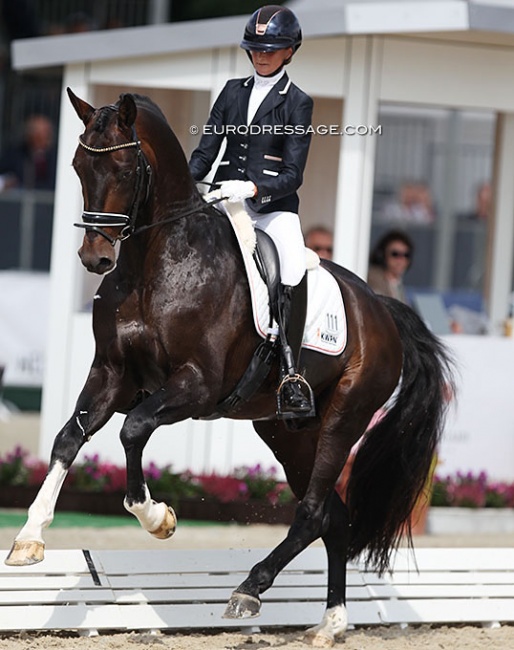 Marieke van der Putten and Keano at the 2021 World Young Horse Championships :: Photo © Astrid Appels