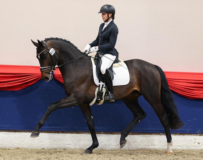 Escanto PS, high scorer of the shortened suitability test in Vechta :: Photo © LL-foto
