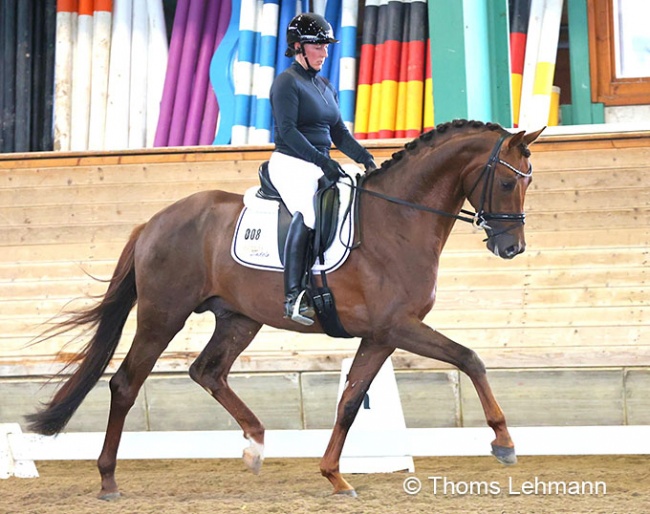 Jana Freund test riding Dutch Dream at the 2022 Shortened Suitability test in Warendorf :: Photo © Thoms Lehmann