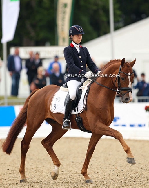 Anja Wilimzig on Sir Heinrich at the 2013 World Championships for Young Dressage Horses :: Photo © Astrid Appels