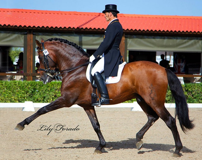 José Maria Sánchez Cobos and Fogonero at the 2014 CDI Barcelona :: Photo © Lily Forado