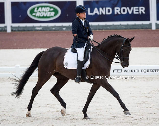 Steffen Zeibig and Feel Good at the 2014 World Equestrian Games :: Photo © Hippofoto