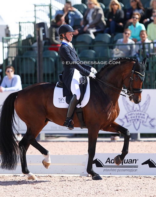 Agnete Kirk Thinggaard and Blue Hors Zatchmi at the 2020 CDI Wellington :: Photo © Astrid Appels