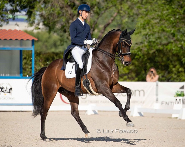 Alejandro Oliva and Decor at the 2022 CDI Camarma de Esteruelas :: Photo © Lily Forado