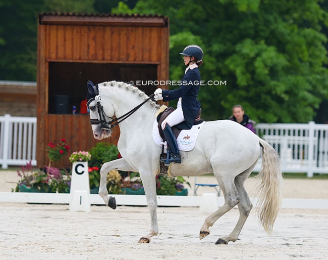 Charlotte Chalvignac on Icaro das Figueiras at the 2022 CDIO Compiègne :: Photo © Astrid Appels