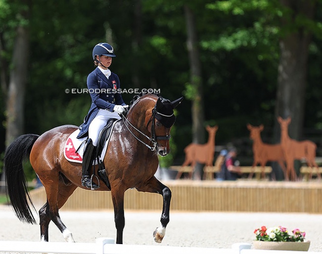 Estelle Wettstein and Quaterboy at the 2022 CDIO Compiegne last weekend :: Photo © Astrid Appels