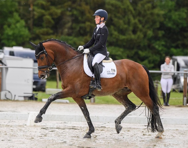 Helen Langehanenberg and Vuelve at a rained out regional show in Nienberge :: Photo © Equitaris