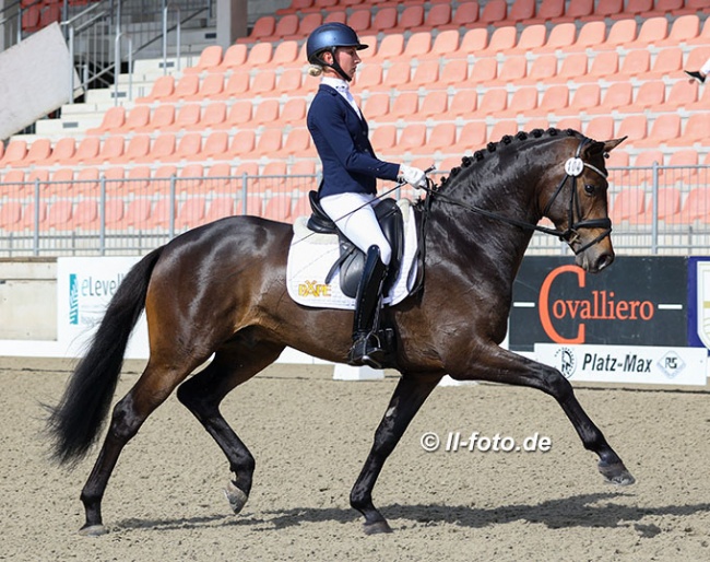 Greta Heemsoth and 5-year old Westfalian stallion Macchiato at the 2022 CDN Redefin :: Photo © LL-foto