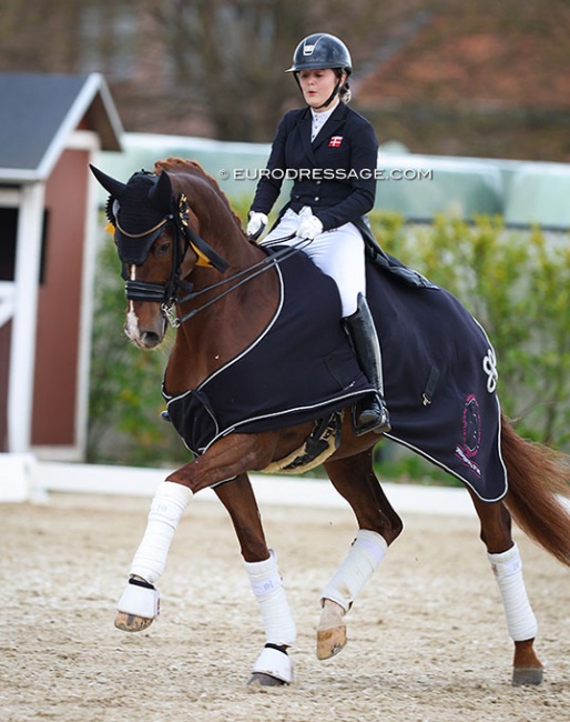 Thilde Rude Hare and Fred the Red at the 2022 CDI Sint-Truiden :: Photo © Astrid Appels