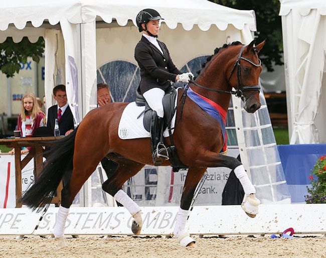 Fidermann OLD, Oldenburg Young Horse Champion :: Photo © LL-foto