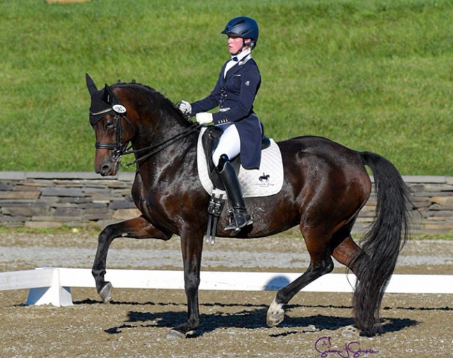 Ravanti C (by Rubinstein x Depardieu) at the CDI Saugerties