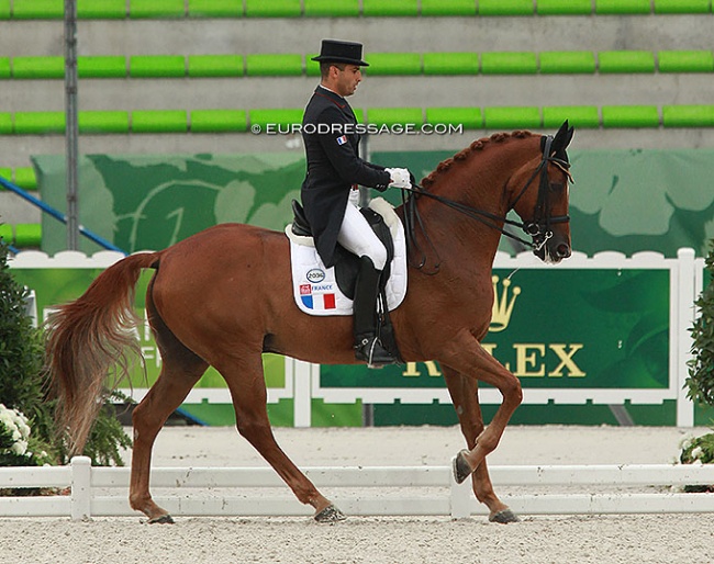 Alexandre Ayache and Lights of Londonderry at the 2014 World Equestrian Games :: Photo © Astrid Appels