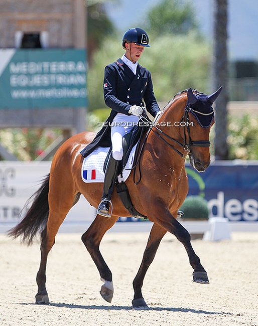 Arthur Barthel on Bambino de Massa at the 2021 European JR/YR Championships :: Photo © Astrid Appels