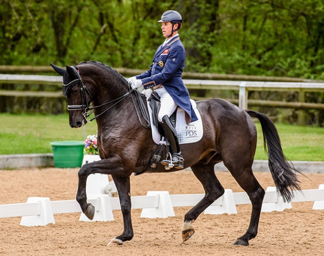 Carl Hester competing En Vogue at the 2021 CDI Wellington Heckfield :: Photos © Jess Tog