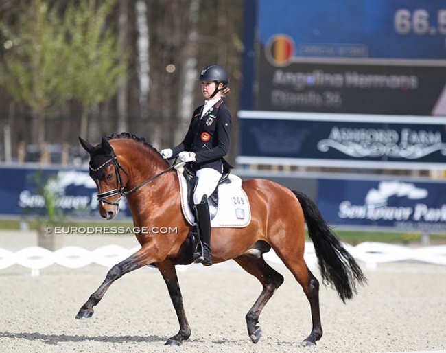 Antonia Roth competing Dark Delight at the inaugural CDI Opglabbeek at Sentower Park in 2021 :: Photo © Astrid Appels