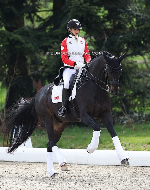 Naima Moreira Laliberte warming up Statesman at the 2022 CDI Hagen, wearing the Canadian team jacket. She was Olympic team reserve in Tokyo :: Photo © Astrid Appels