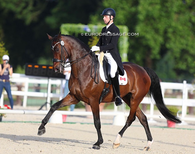 Ryan Torkkeli and Sternenwanderer at the 2022 CDI Jardy :: Photo © Astrid Appels