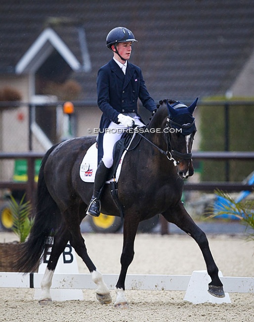 Myles Graham and Nibeley Union Hit at the 2022 CDI Opglabbeek :: Photo © Astrid Appels