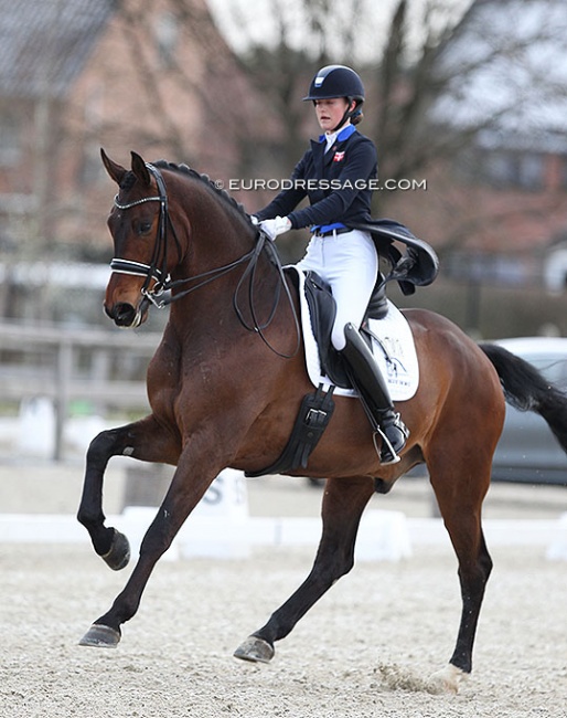 Sophia Ludvigsen and Blue Hors Elliott at the 2022 CDI Opglabbeek :: Photo © Astrid Appels