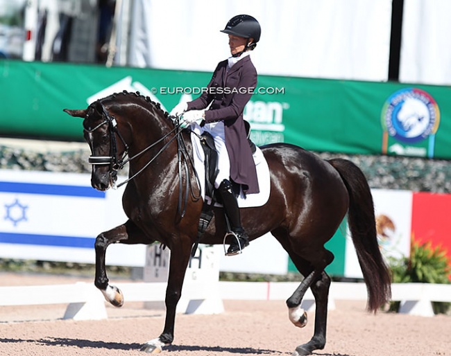Alice Tarjan and Serenade MF at the 2022 CDI Wellington :: Photo © Astrid Appels