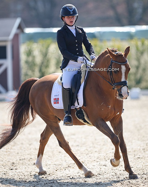 Mira Antonsen Hjelle and Herikos Bredager at the 2022 CDI Sint-Truiden :: Photo © Astrid Appels