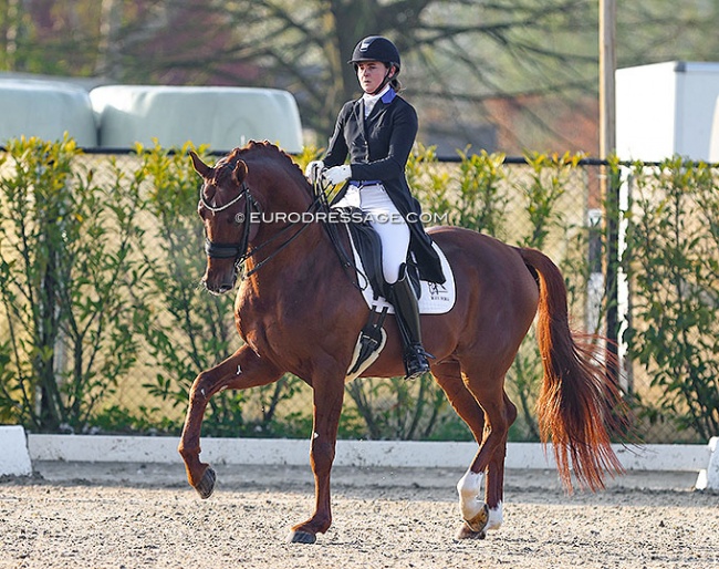 Laura Kristine Thorup and Blue Hors Veneziano at the 2022 CDI Sint-Truiden :: Photo © Astrid Appels