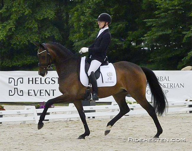 Søbakkehus Maude (by Hesselhøj Donkey Boy x Wilkens) under Allan Grøn at the first 2022 Danish WCYH selection trial :: Photo © Thomas Bach Jensen/Ridehesten