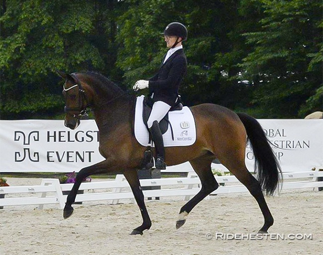 Søbakkehus Maude (by Hesselhøj Donkey Boy x  Wilkens) under Allan Grøn at the first 2022 Danish WCYH selection trial :: Photo © Thomas Bach Jensen/Ridehesten