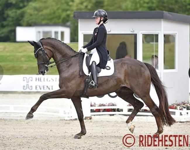 Josefine Hoffmann and Honnerups Driver at the 2022 Danish Dressage Championships :: Photo © Ridehesten