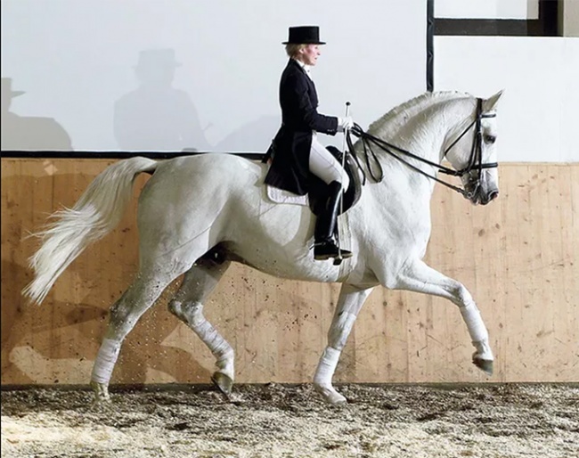 Christine Stuckelberger on Ramiro's Bube :: Photo © Recki Media