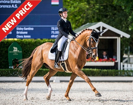 Florenco AS competing at the 2020 CDI Mariakalnok :: Photo © Lukasz Kowalski