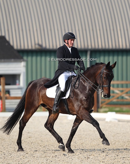 Belgian Frederik van de Keere on Jameson at the 2021 CDI Grote Brogel :: Photo © Astrid Appels