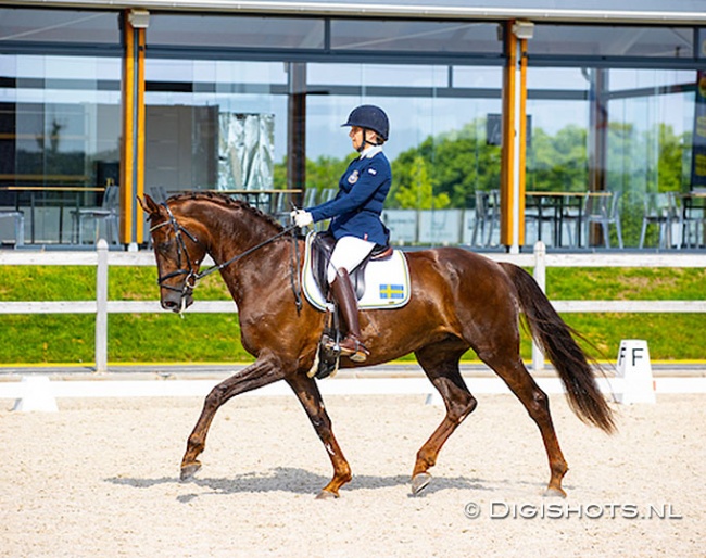 Lena Malmström and Fabulous Fidelie competing at the CPEDI Kronenberg :: Photo © Digishots