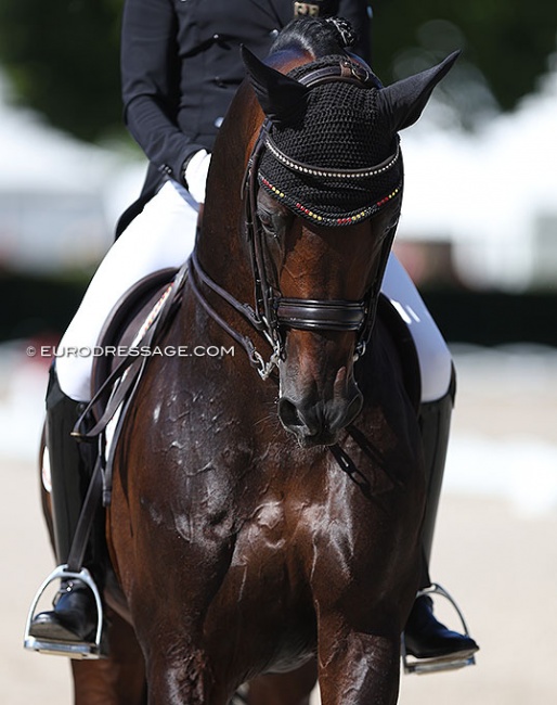 Ingrid Klimke's Franziskus is long listed for team selection for the 2022 World Championships Dressage :: Photo © Astrid Appels