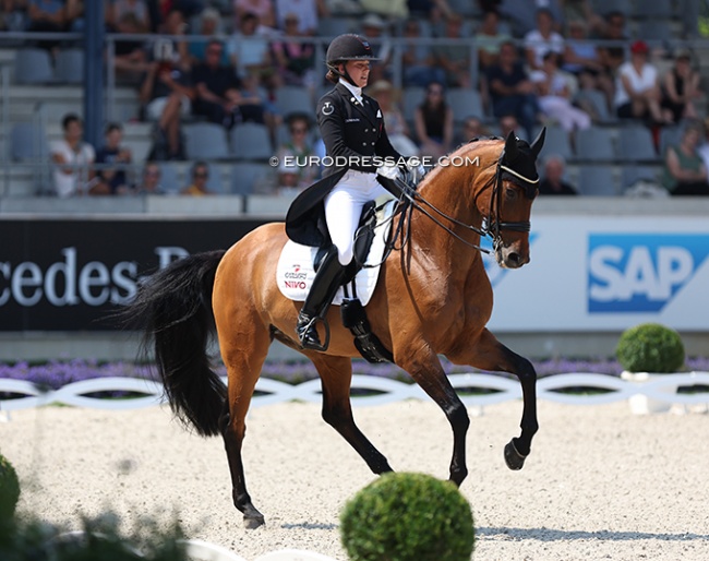 Cathrine Dufour on Vamos Amigos at the 2022 CDIO Aachen :: Photo © Astrid Appels