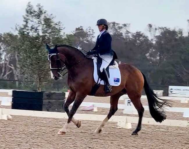 Dianne Barnes on Cil Dara Cosmic competing in the wet and rain at the CPEDI Boneo