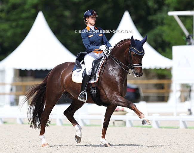 Madeleine Witte-Vrees on Finnlanderin at the 2022 CDI Compiegne :: Photo © Astrid Appels