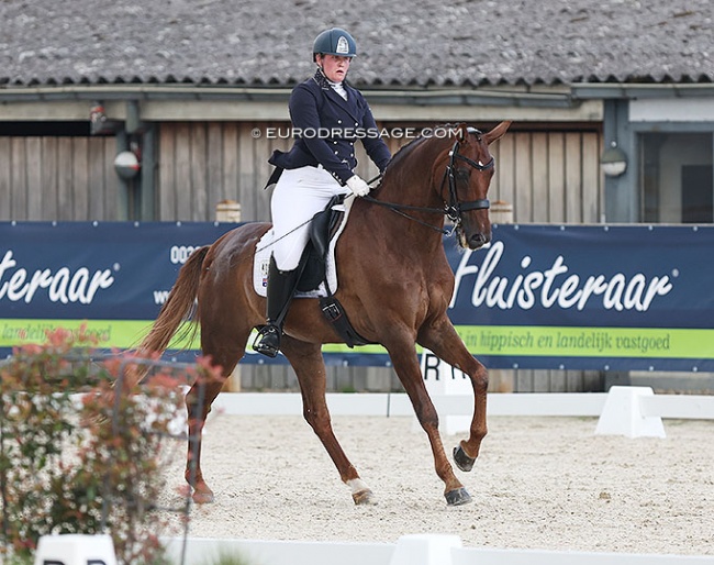 Matilda Carnegie on Bocelli at the 2022 CPEDI Grote Brogel :: Photo © Astrid Appels