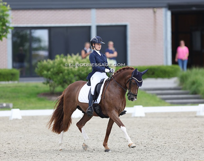 Maddy Dijkshoorn and Boogie de l'Aube at the 2022 CDI Meerle :: Photo © Astrid Appels