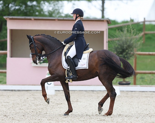 Emma Kanerva and Feldrose at the 2022 CDI Troisdorf :: Photo © Astrid Appels